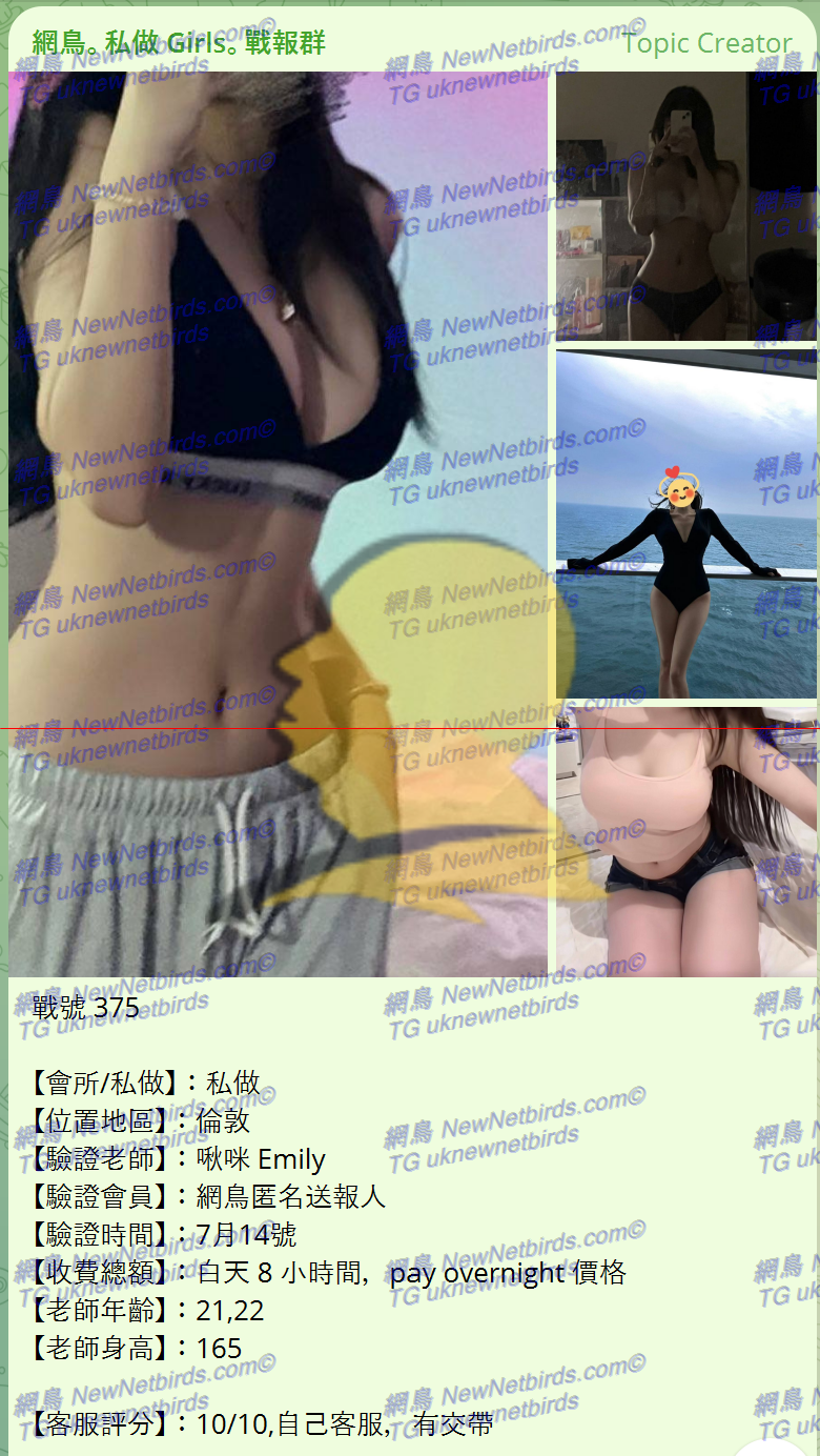 戰號 375 1.png